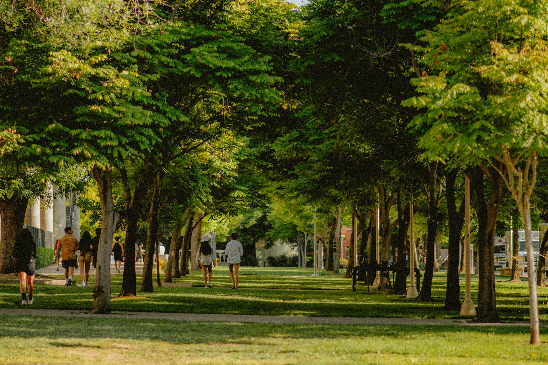 Manchester neighbourhoods guide green parks and outdoor spaces