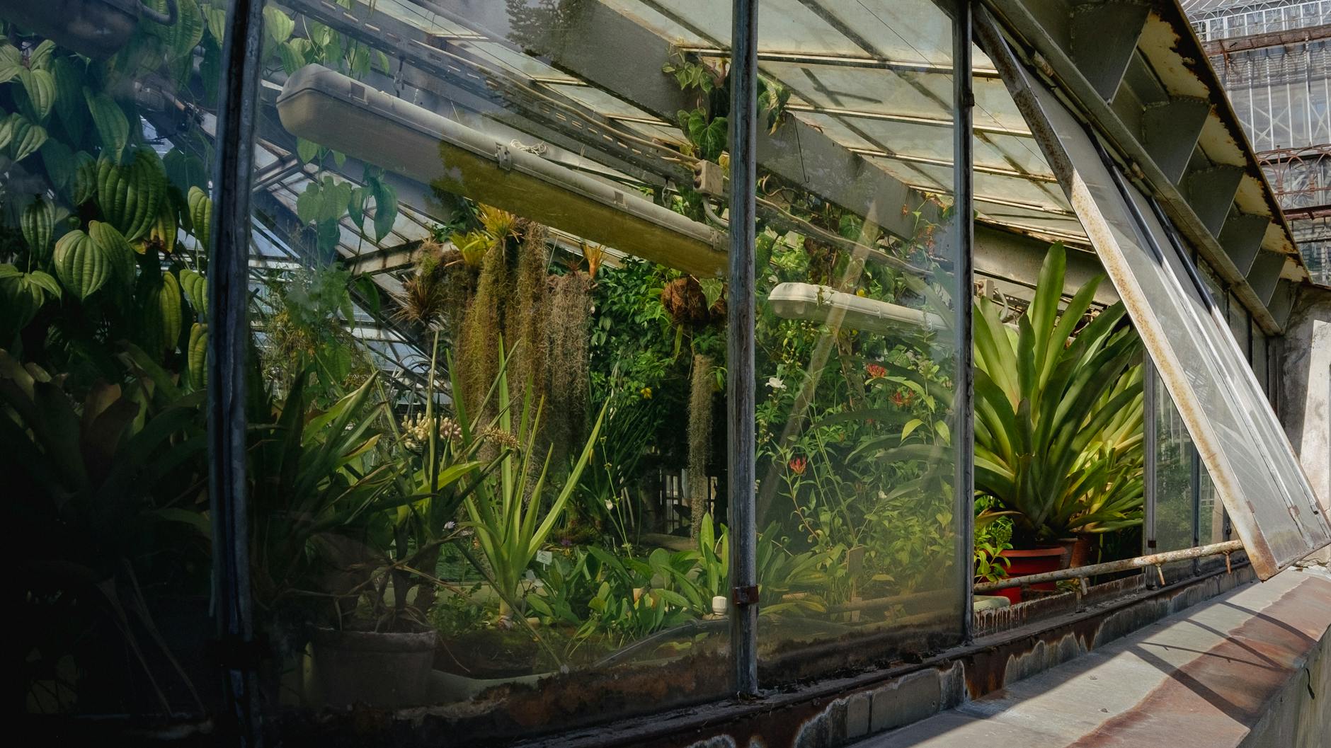 25 Best Attractions in Manchester: The Complete Guide for 2026 8 Beautiful gardens among Manchester's best attractions