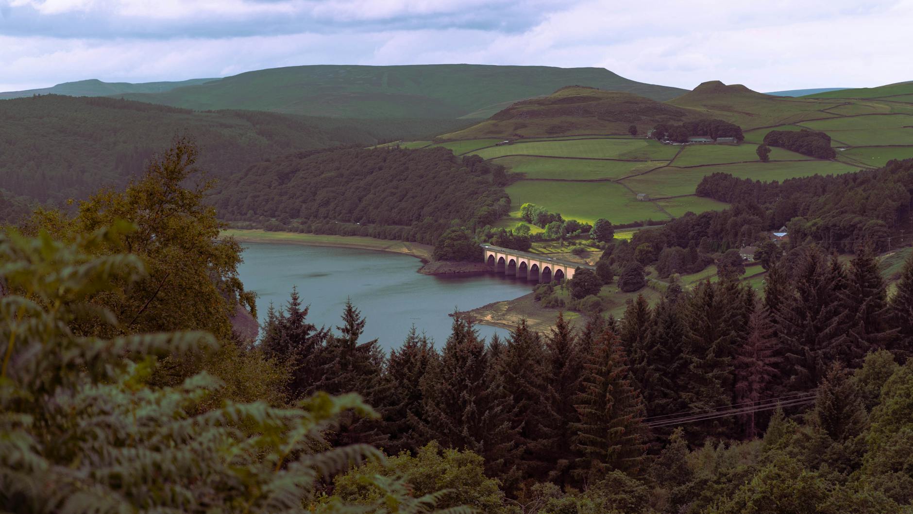 Best Walks & Hikes Near Manchester: Trail Guide (2026) 3 Reservoir nature reserve hills Pennines near Manchester walking trail