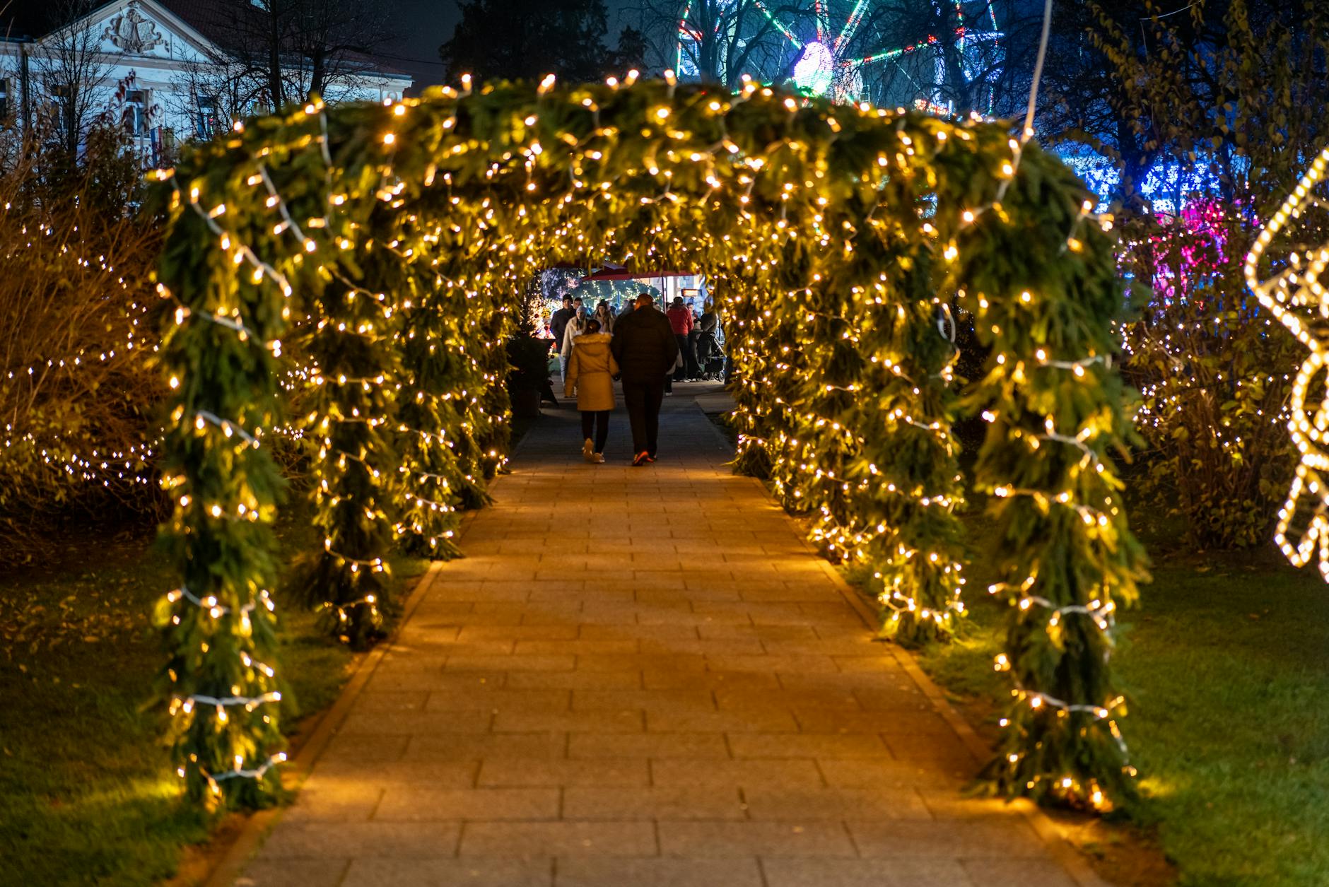 Dunham Massey Christmas lights trail National Trust illuminations night