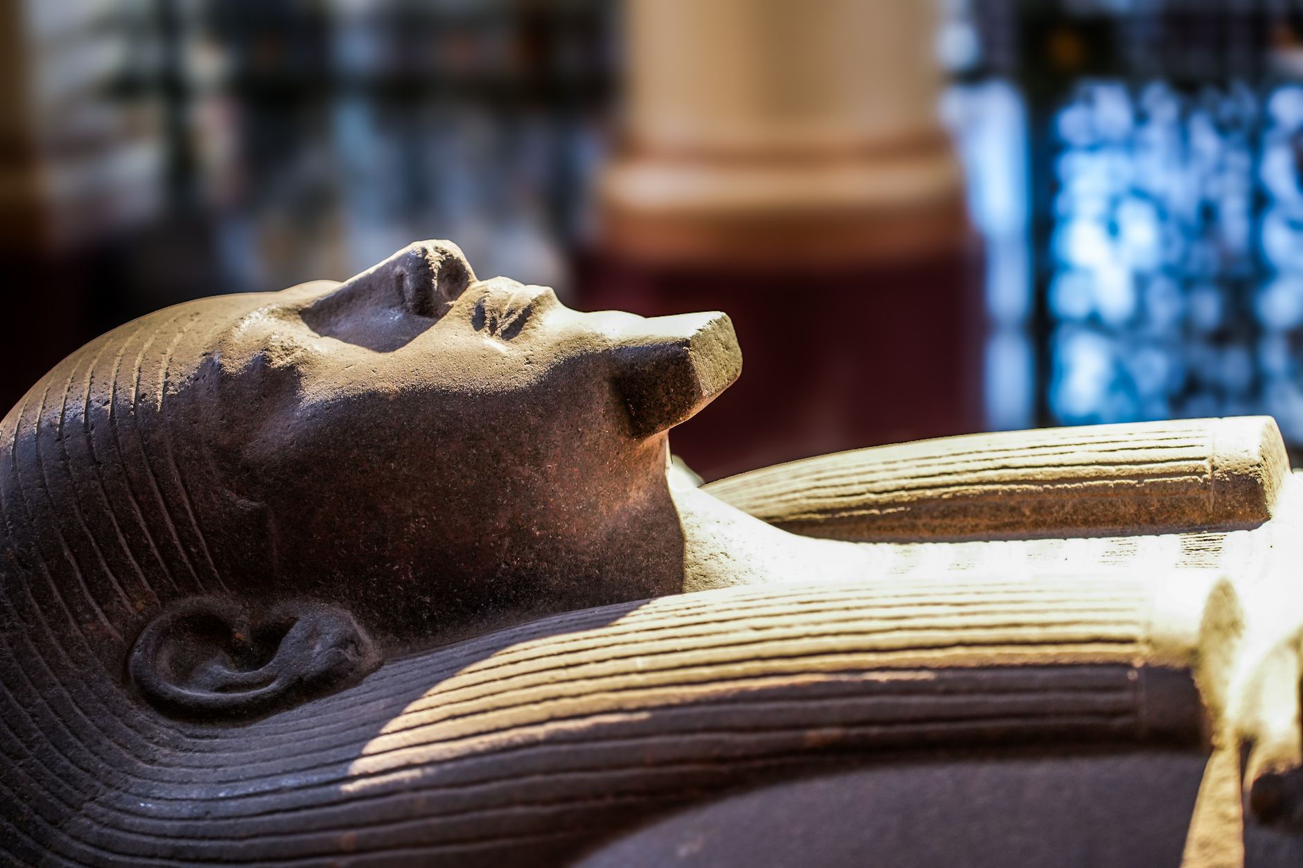 Manchester Museum: Complete Visitor Guide 2026 (European Museum of the Year) 3 Manchester Museum ancient Egypt galleries mummies hieroglyphs