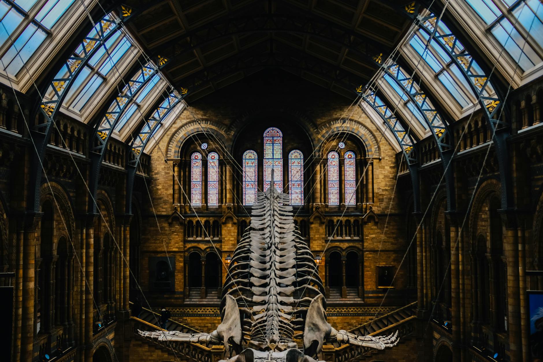 Best Free Museums in Manchester: Complete 2026 Guide (No Entry Fee) 4 Manchester Museum dinosaurs ancient Egypt galleries free entry university