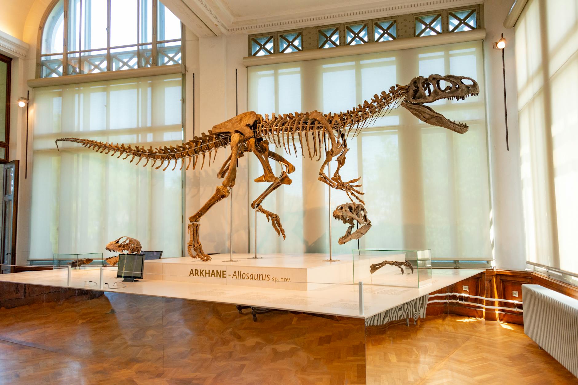 Manchester Museum European Museum of the Year guide