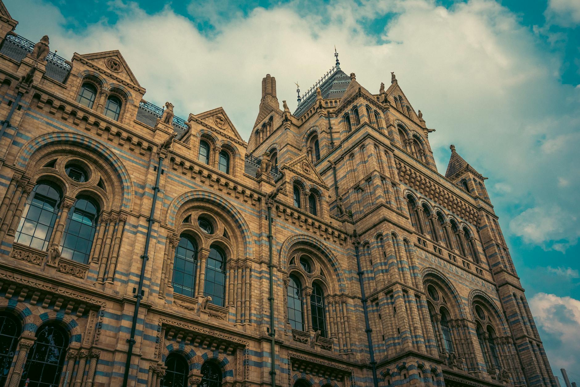 Manchester Museum: Complete Visitor Guide 2026 (European Museum of the Year) 2 Manchester Museum university Oxford Road neo-Gothic Alfred Waterhouse building