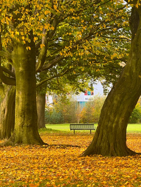 30+ Free Things to Do in Manchester (2026 Guide) 2 Free things to do in Manchester park