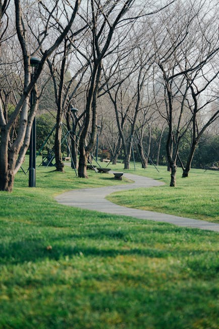 Best Parks & Green Spaces in Manchester: Complete Guide (2026)
