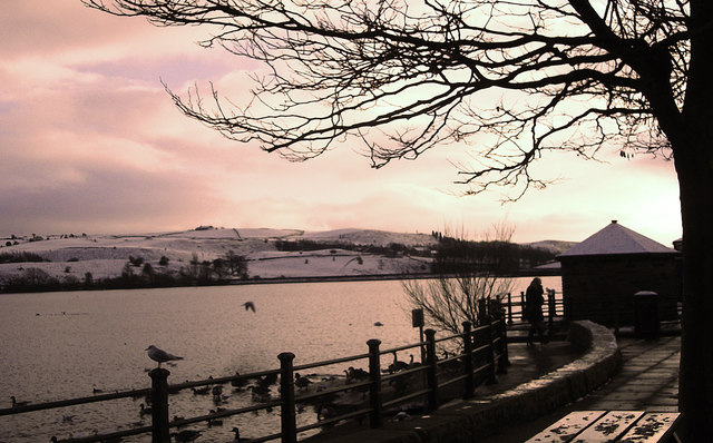 Greater Manchester Towns: The Complete Guide Beyond the City Centre 8 Hollingworth Lake at dusk in winter with snow on the hills beyond and gulls on the railings