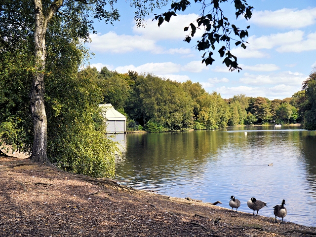 Heaton Park: Complete Visitor Guide 7 The white boathouse on the far shore of the Heaton Park boating lake with geese in the foreground