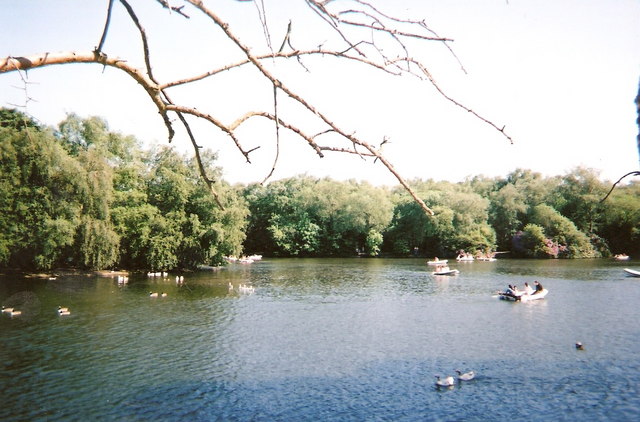 Heaton Park: Complete Visitor Guide 4 Pedalos and swans on the tree-lined boating lake in Heaton Park