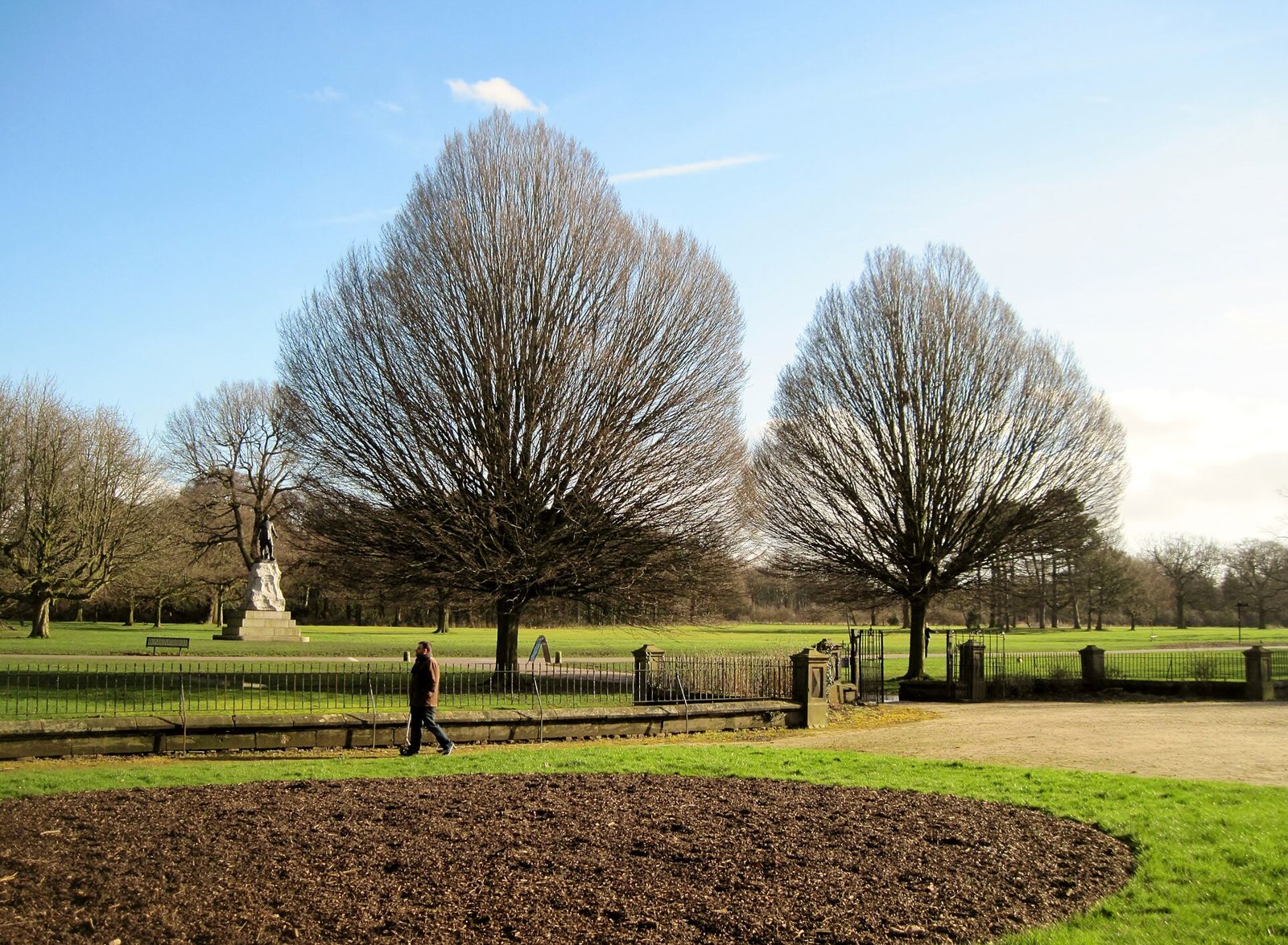 A wide lawn with two large bare trees and a statue on a stone plinth in Wythenshawe Park on a sunny winter day